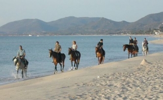  Trekking ecuestre 